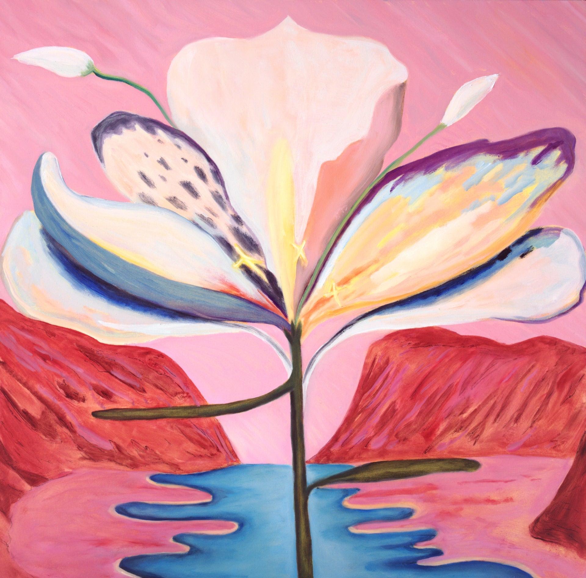 Flores: especies no catalogadas