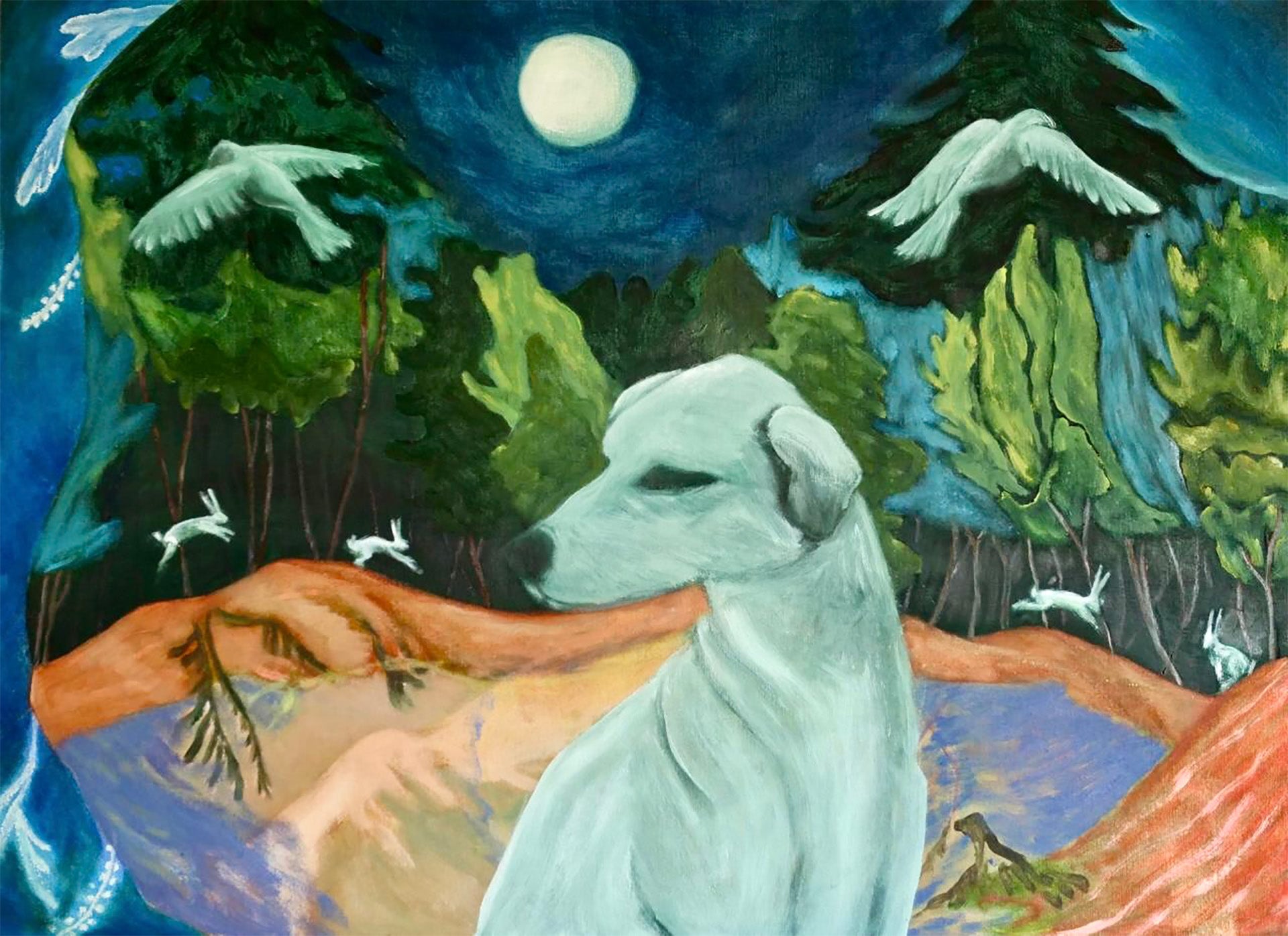 Animales en la noche