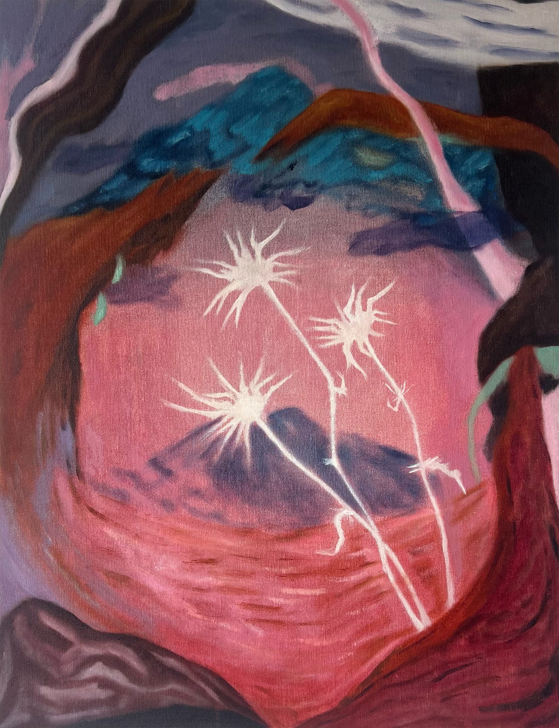 Cardos blancos en hora mágica